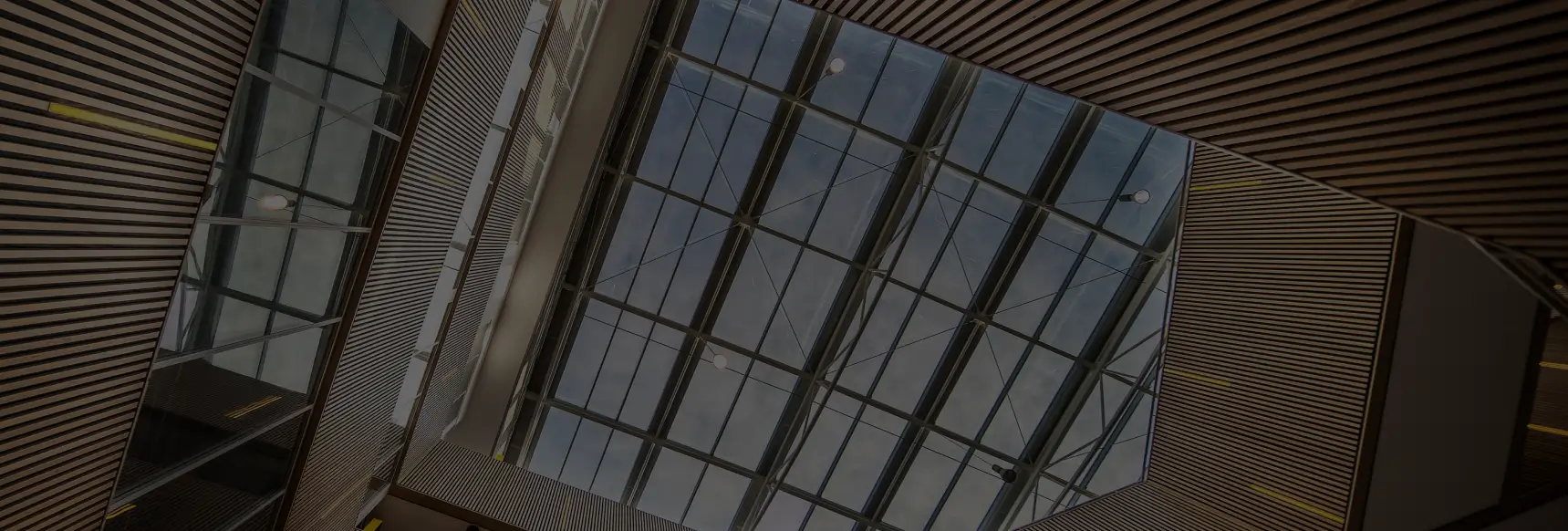 banner3